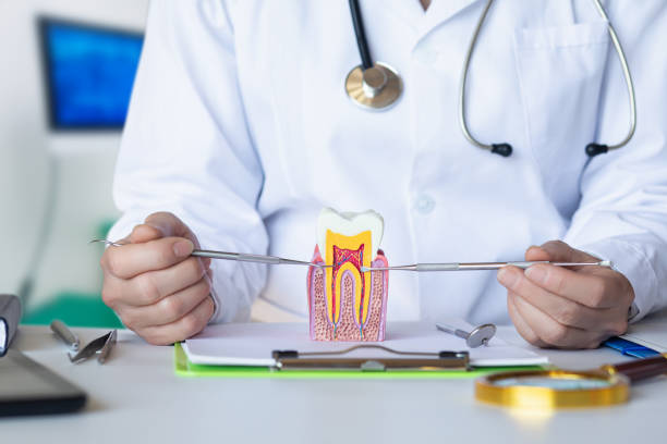 Best Emergency Wisdom Teeth Removal in Benton, KY
